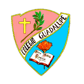 COLEGIO GUADALUPE