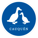 CAUQUEN
